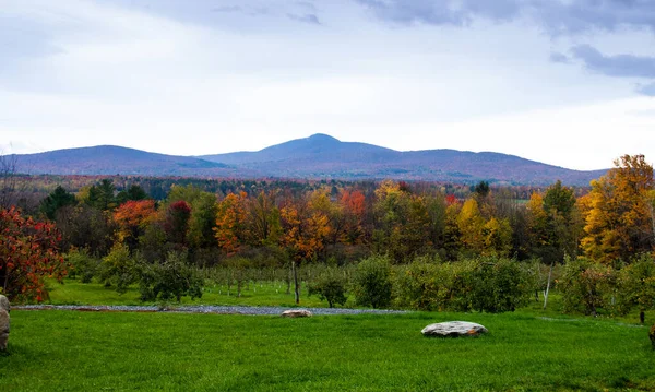 Cloudy Autumn View Mount Sutton Dunham Quebec Vineyard Landscape — Stock Photo, Image