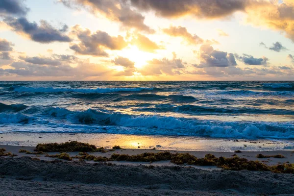 Trópusi Napfelkelte Hollywood Florida Beach — Stock Fotó