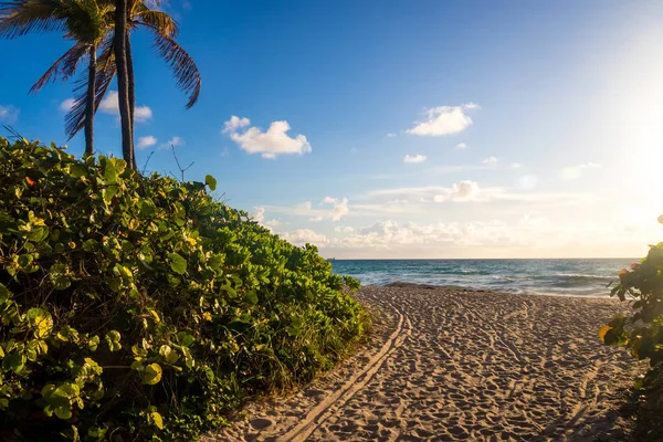 Camino Playa Hollywood Florida Cielo Azul Brillante Por Mañana — Foto de Stock