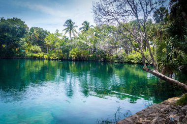 Fort Lauderdale, Florida 'daki Snyder Park.