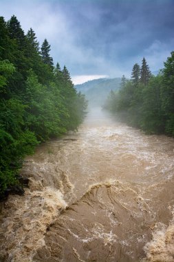 Bir dağ nehrinde sel, doğanın gücü.