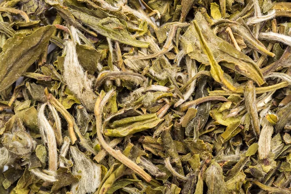 Té de vainilla —  Fotos de Stock