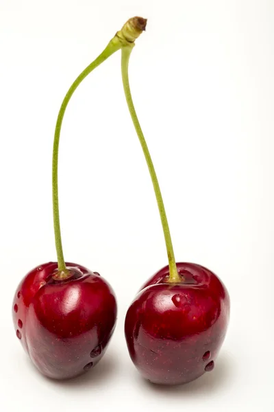 Wet Twin Cherries — Stock Photo, Image