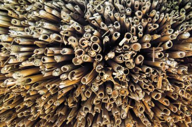 Stick doku