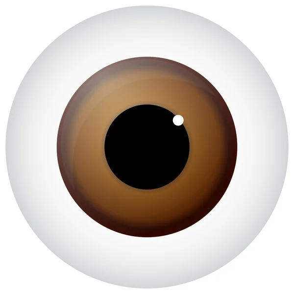Brown eye Vector Art Stock Images | Depositphotos Brown eye Vector Art Stock Images | Depositphotos