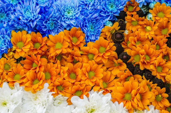 Floral Arrangement — Stock Photo, Image