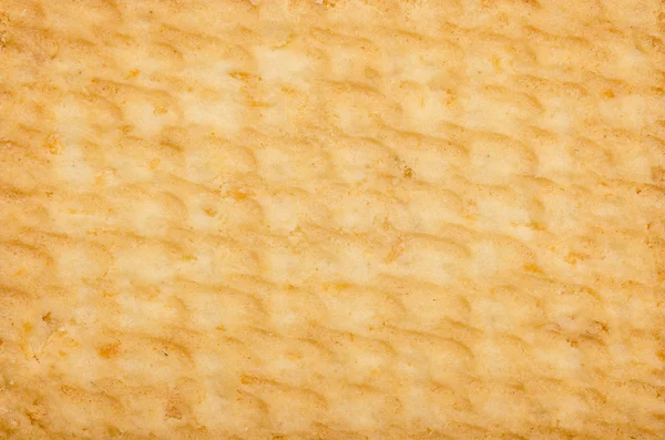 Biscuit Texture — Stock Photo, Image