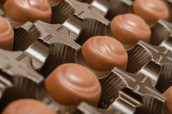 Chocolate Candies — Stock Photo, Image