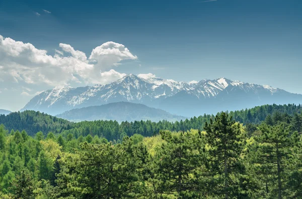 Karpaten landschap — Stockfoto