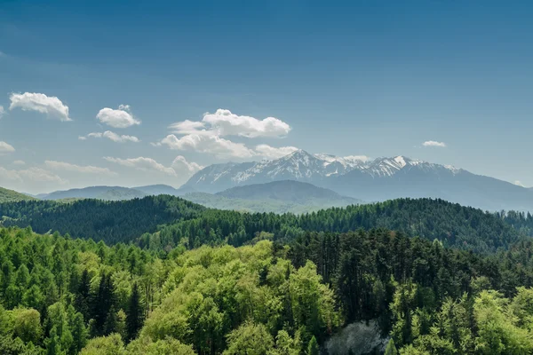 Karpaten landschap — Stockfoto