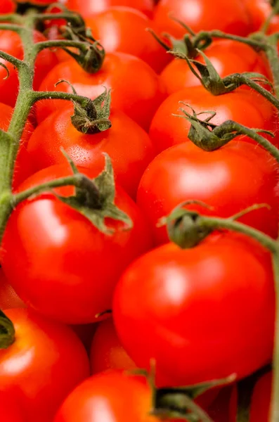 Tomates cereja — Fotografia de Stock