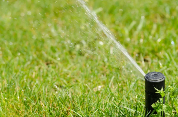 Spruzzatore d'acqua — Foto Stock