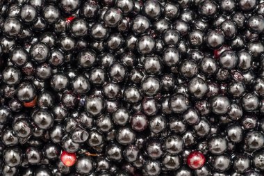 bilberries arka kapatmak