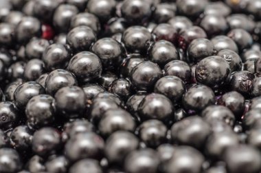 bilberries arka kapatmak