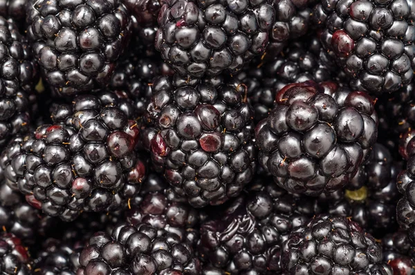 Blackberries Close Up — Stock Photo, Image