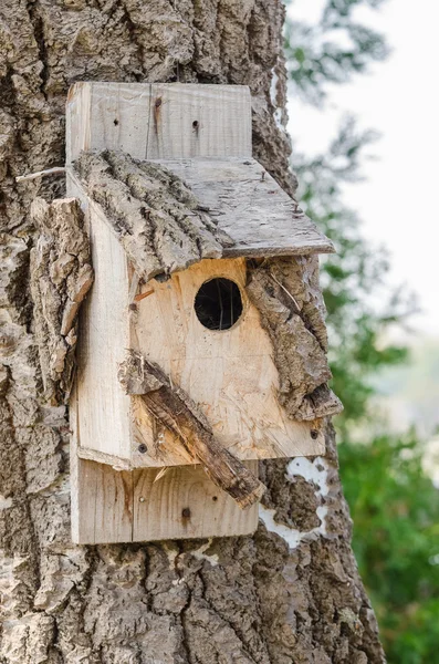 Дерев'яний пташиний будинок на дереві — стокове фото