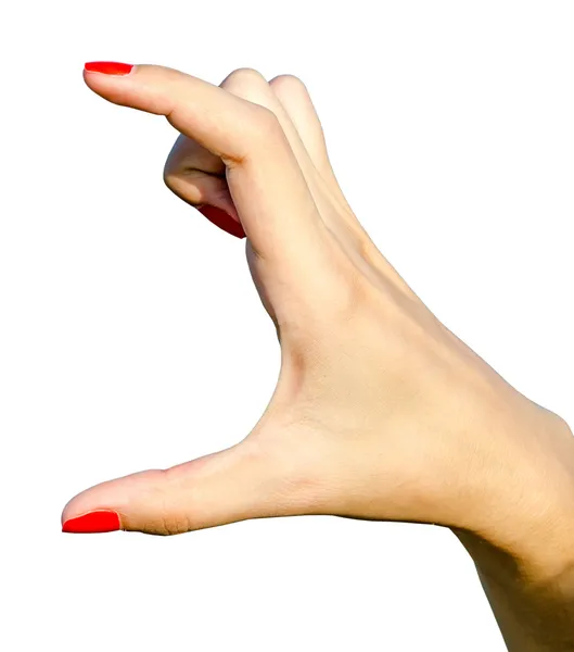 Woman Hand Showing Size — Stock Photo, Image