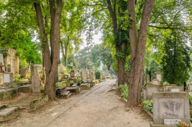 Protestan Mezarlığı