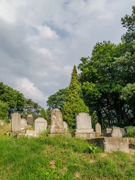 福音派の墓地 — ストック写真
