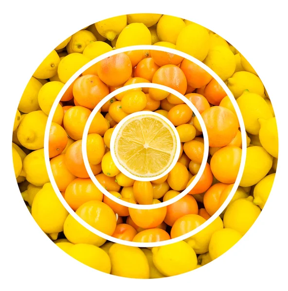 Citrusfrukter bakgrund — Stockfoto