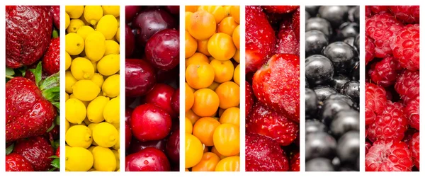 Collage frischer Sommerfrüchte — Stockfoto