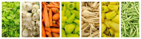 Verse groenten collectie set — Stockfoto