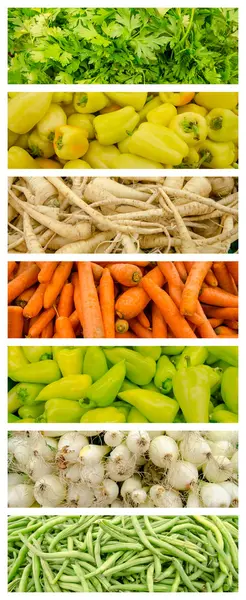 Zestaw kolekcja świeże warzywa — Zdjęcie stockowe