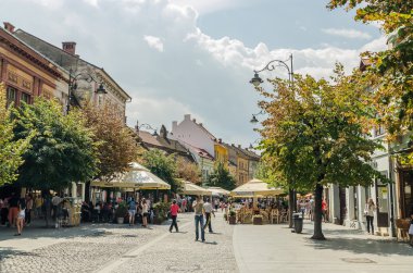 Sibiu ana kare