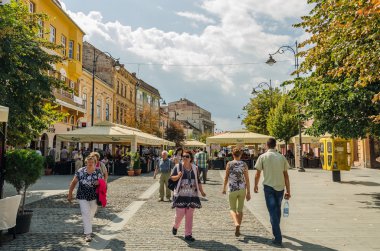 Sibiu ana kare