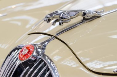 Jaguar işareti