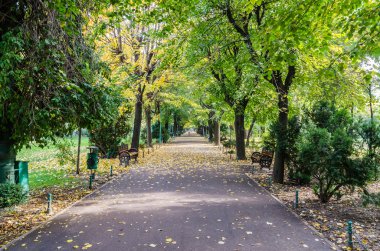 sonbaharda Parkı