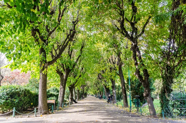 Hösten i offentlig park — Stockfoto