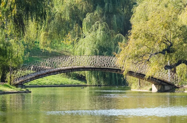 Gebogen brug over lake — Stockfoto