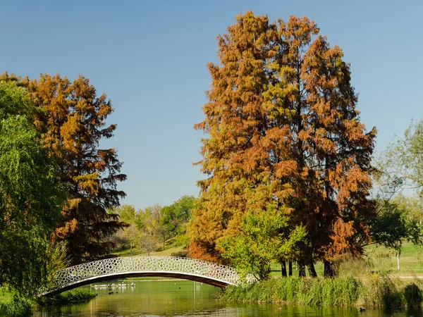 Ročník most přes jezero — Stock fotografie