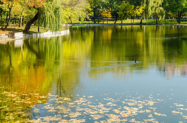 Autumn Colors Reflections