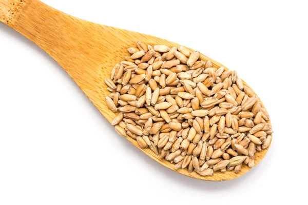 Дерев'яна ложка з насінням пшениці — стокове фото
