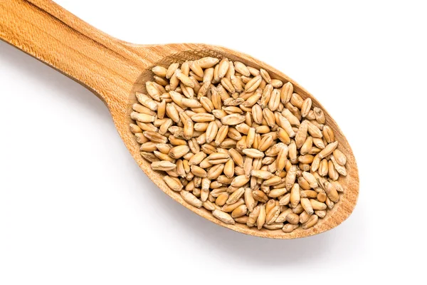 Wooden Spoon With Wheat Seeds — Stock Photo, Image