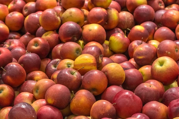 Червоні яблука на ринку фруктів Дисплей — стокове фото