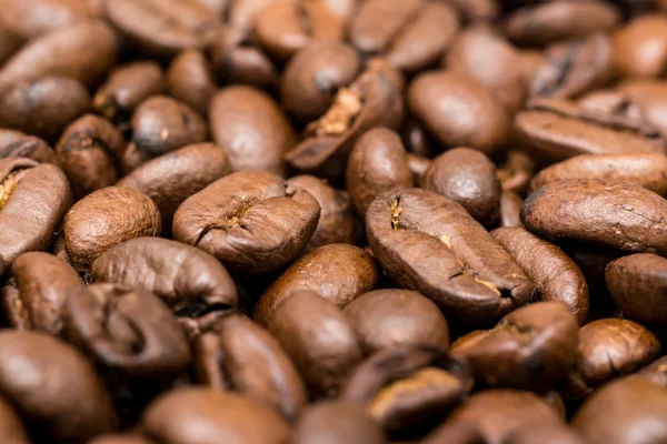 Grains de café frais torréfiés — Photo