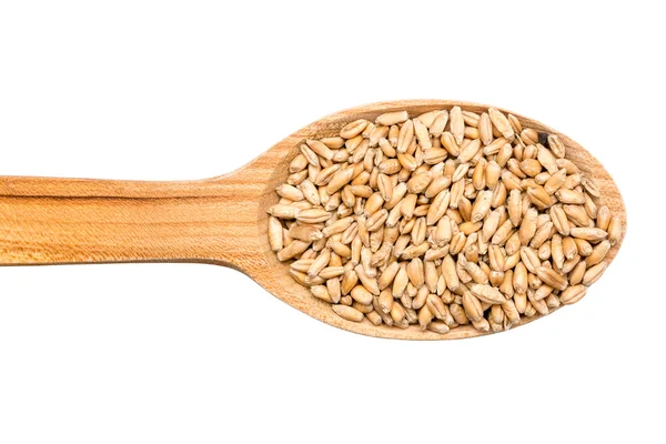 Cucchiaio di legno con chicchi di grano — Foto Stock