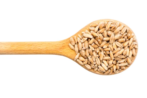 Cucchiaio di legno con chicchi di grano — Foto Stock