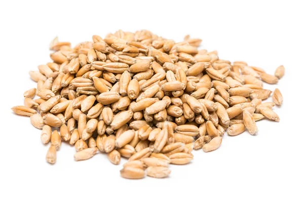 Wheat Seeds — Stock Photo, Image