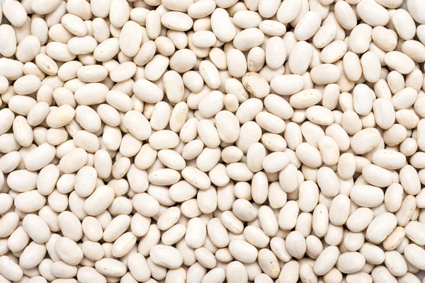 Frijoles blancos de cerca — Foto de Stock