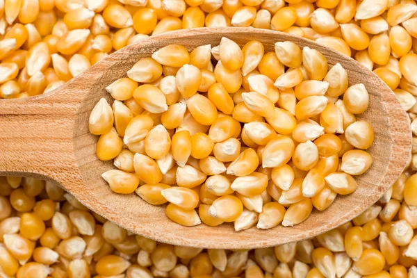 Cuchara de madera con semillas de maíz — Foto de Stock