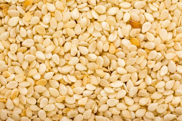 Sesame Seeds Closeup — Stock Photo, Image