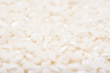 pirinç tohumu arka plan