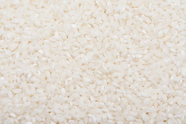 水稻种子背景 — 图库照片