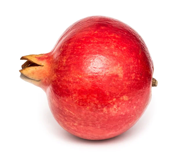 Fresh Ripe Pomegranate — Stock Photo, Image