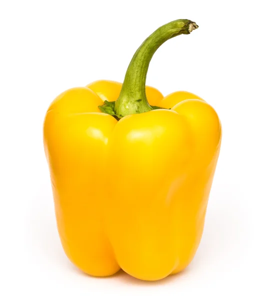 Yellow Fresh Capsicum — Stock Photo, Image