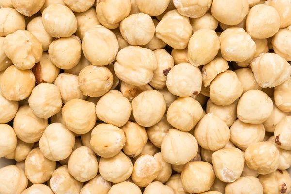 Fresh Hazelnuts — Stock Photo, Image